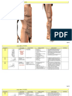 Spleen: Actions & Effects