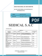 Trabajo Final Base Datos .Empresa SEIDICAL Sac