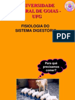 Fisiologia Do Sistema Digestório