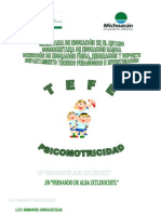 Taller de Psicomotricidad