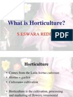 What Is Horticulture?: S Eswara Reddy