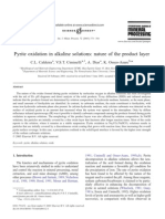 Pyrite Oxidation in Alkaline Solutions: Nature of The Product Layer