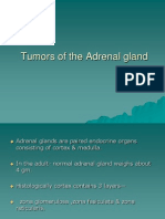 Tumours of The Adrenal Gland