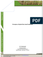 Principles of Hybrid Rice Seed Production