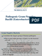 Icrobiology: Pathogenic Gram-Negative Bacilli (Enterobacteriaceae)