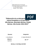 Elaboración de Un Detergente Líquido Natural Lavaplatos