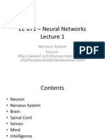 EE 671 - Neural Networks: Nervous System Source: Ulty/farabee/biobk/biobooktoc - HTML