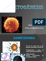 GAMETOGÉNESIS - Ovogénesis - Espermatogénesis