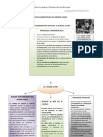 Tema 2 Principios Elementales Del Medio Juego-El Ataque Al Rey