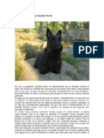 El Entrenamiento de Un Scottish Terrier