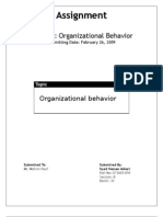 Introduction To Organizational Behavior