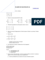 Examen Matematicas