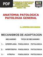 1er - PARCIAL - Anatomia - Patologica Chet