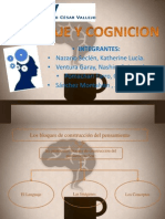 Lenguaje y Cognicion