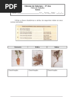 Ficha de Trabalho Raizes 5º Ano