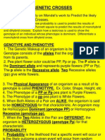 Genetic Crosses: Genotype and Phenotype