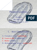 Phylum Ctenophora: Zoology Mrs. Mccarthy Wednesday, August 21, 2013