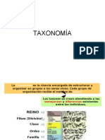 TAXONOMÍA