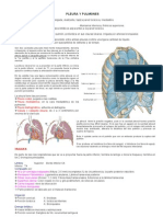 4ta Clase Torax - Degraba Pulmones