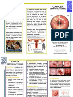 Triptico de CA Cu