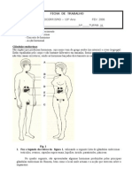 Hormonas e Sistema Endocrino