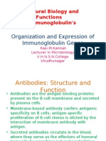 Organization and Expression of Immunoglobulin Genes