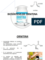 Alcaloide ORNITINA