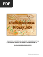 Leishmaniosis Canina - Enfoque Clinico