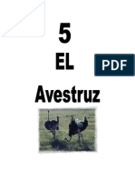 Leccion 5 Avestruz