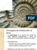 Paleontología, Procesos de Fosilización