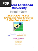 Northern Caribbean University - Org. Behaviour