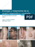 Etiología y Tratamiento de La Cicatriz Hipertrófica y