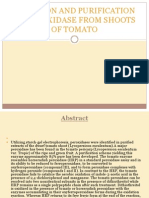 Isolation and Purification of Peroxidase From Shoots of OF TOMATO