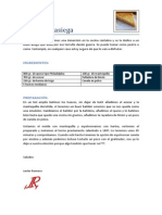 Quesada PDF