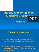 Chapter 22 Introduction To Plant Kingdoms