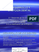 6-1.desarrollo y Erupción Dental