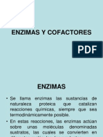 Enzimas y Cofactores