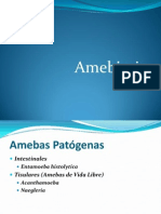 Amebiasis