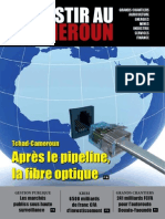 Investir Au Cameroun 2 PDF