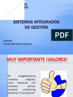 10 Sistemas Integrados de Gestion