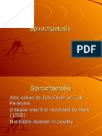 Spirochetosis