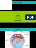 Histology Placenta
