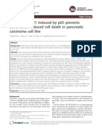 Cytoplasmic p21 Induced by p65 Prevents Doxorubicin-Induced Cell Death in Pancreatic Carcinoma Cell Line