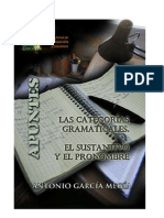 Las Categorías Gramaticales. El Sustantivo y El Pronombre