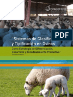 Sistema Clasificacion Ovinos 21