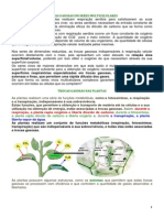 Trocas Gasosas em Seres Multicelulares