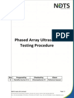 PAUT Model Procedure PDF