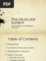 The Muscular System