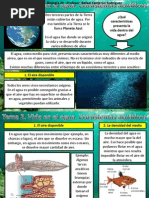 Tema 2 Ecosistema Acuatico