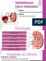 Enfermedad Litiásica Urinaria